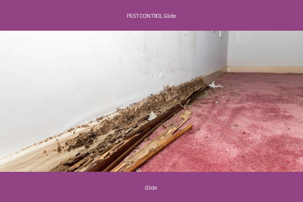 PEST CONTROL Glide